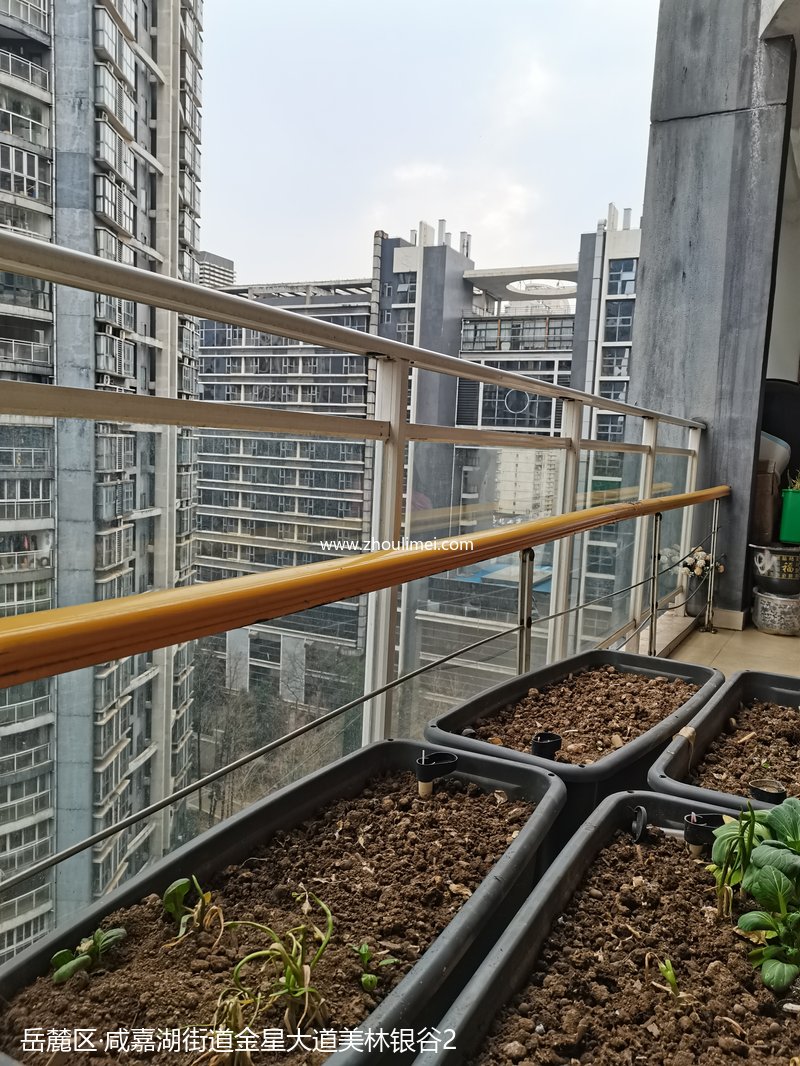 岳麓区美林银谷立柱夹玻璃扶手阳台护栏