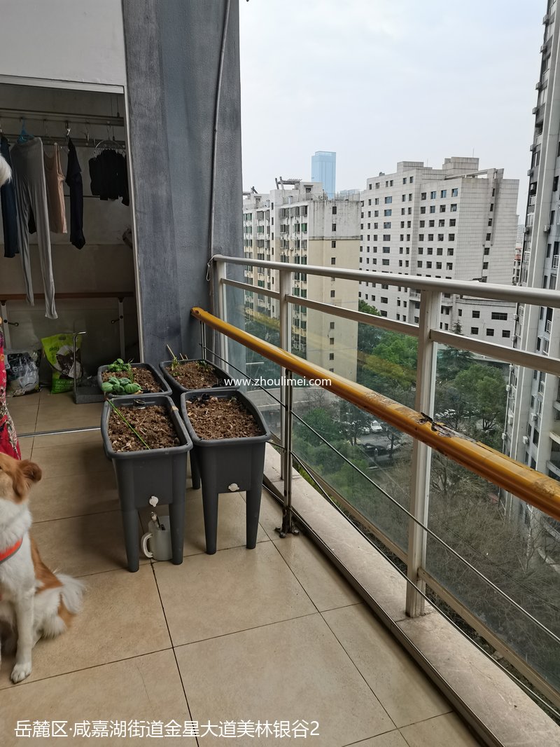 玻璃扶手